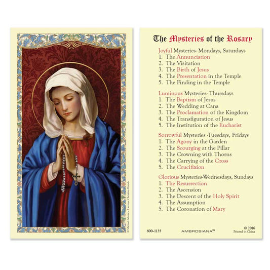 Our Lady of the Rosary Laminated Holy Card - 25/pk