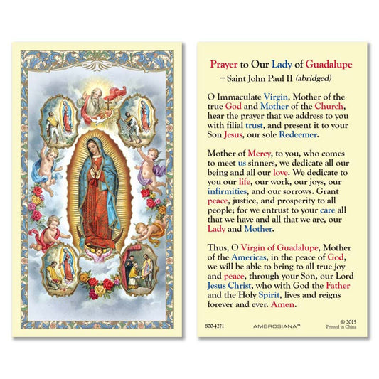 Our Lady of Guadalupe with Visions Laminated Holy Card - 25/pk