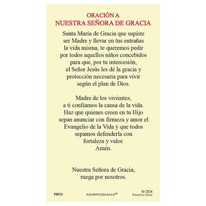 Spanish Holy Card - Our Lady of Grace (Hail Mary)