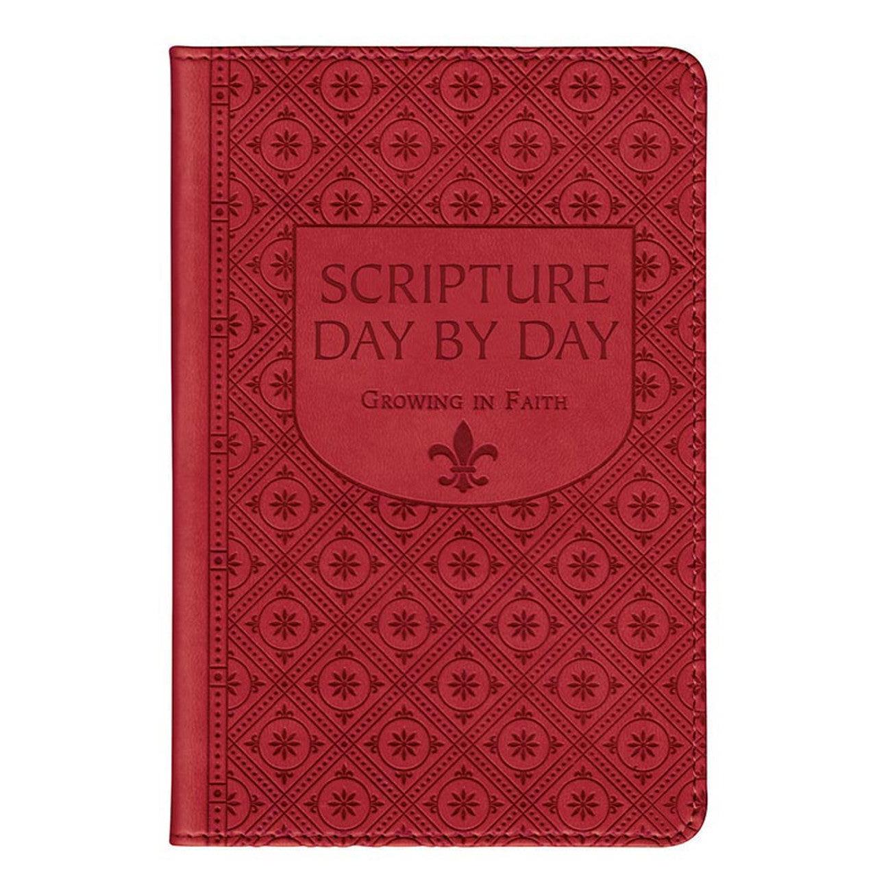 Aquinas Press Scripture Day by Day - Gift Edition - 4/pk